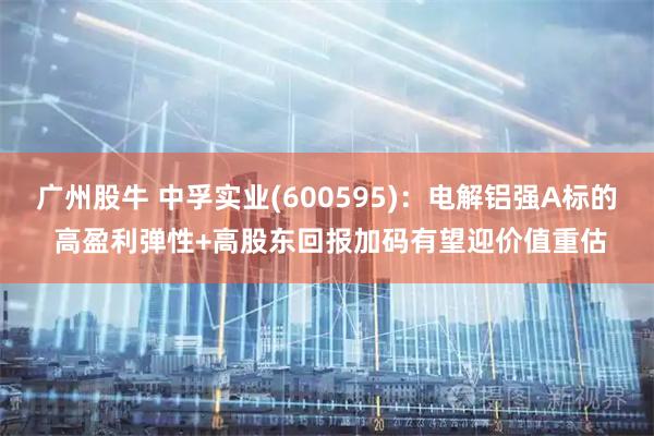 广州股牛 中孚实业(600595)：电解铝强Α标的 高盈利弹性+高股东回报加码有望迎价值重估